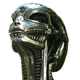 Biomechanoid2002
