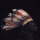 shoshone bride